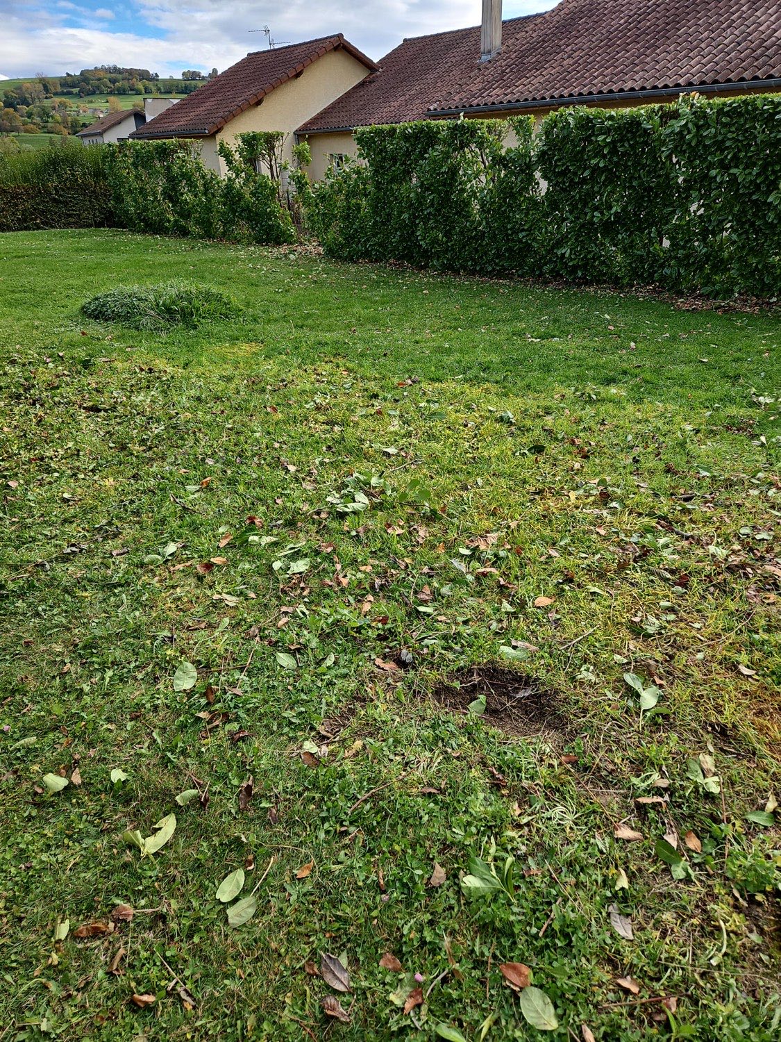 Terrain débarrassé et nettoyé par Isère Débarras après enlèvement des végétaux