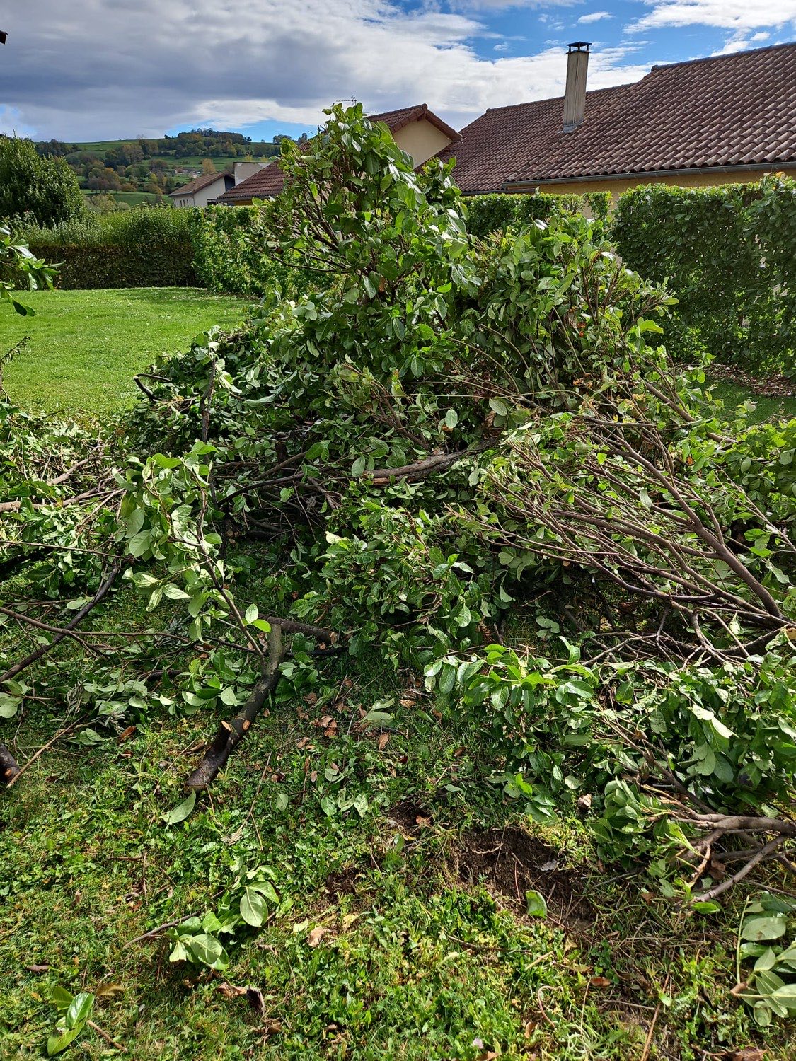Tas de branches et végétaux coupés avant enlèvement par Isère Débarras