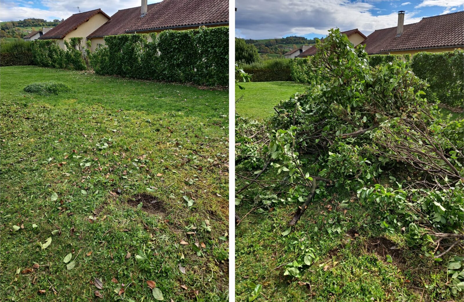 Avant / après enlèvement de végétaux et branches par Isère Débarras